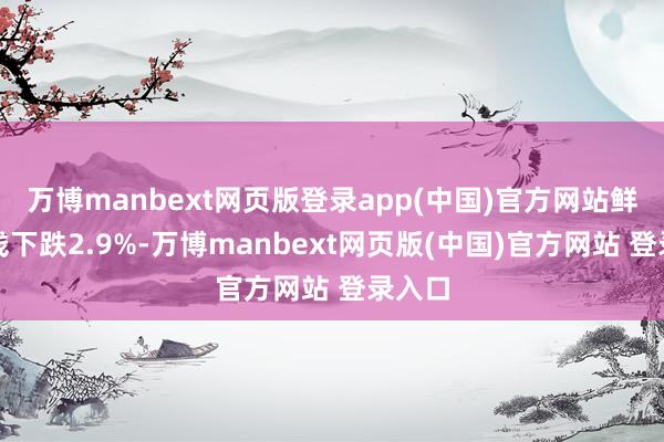 万博manbext网页版登录app(中国)官方网站鲜果价钱下跌2.9%-万博manbext网页版(中国)官方网站 登录入口